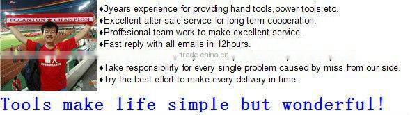 19 PCS 3/8"DR.PROFESSIONAL HAND TOOLS SOCKET SET WITH RATCHET HANDLE