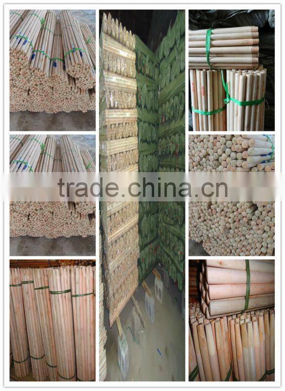 Cleaning Floor Mop Stick Handle