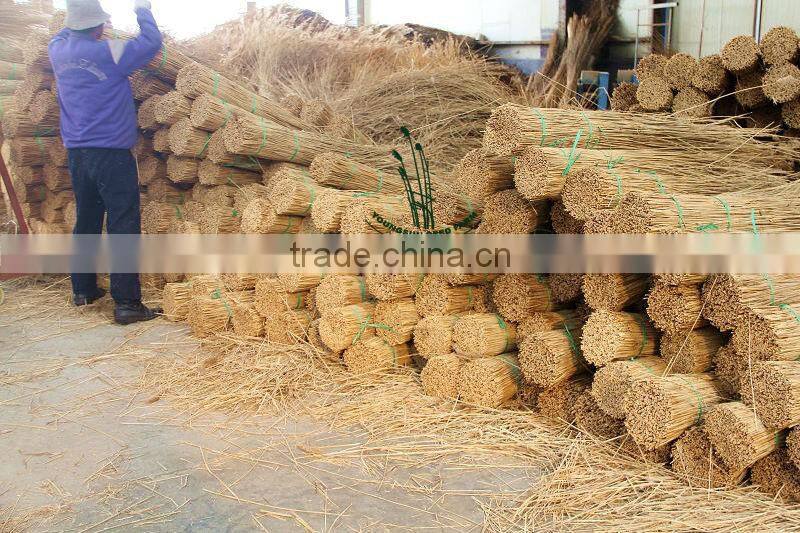 water reed thatching material