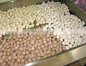 meatball processing machine/meatball molding machine