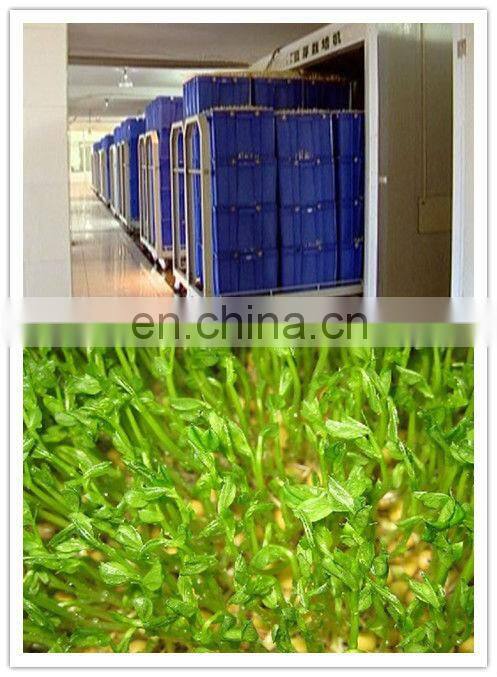 Full automatic barley sprout barley growing machine for animal feed