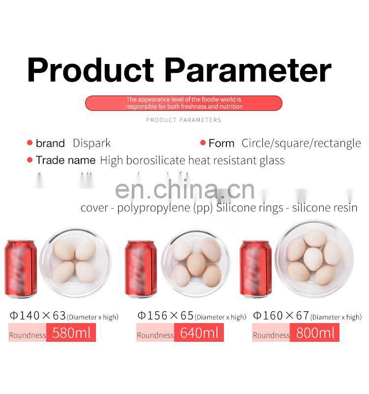 Square Borosilicate Glass Food Container Lunch Box