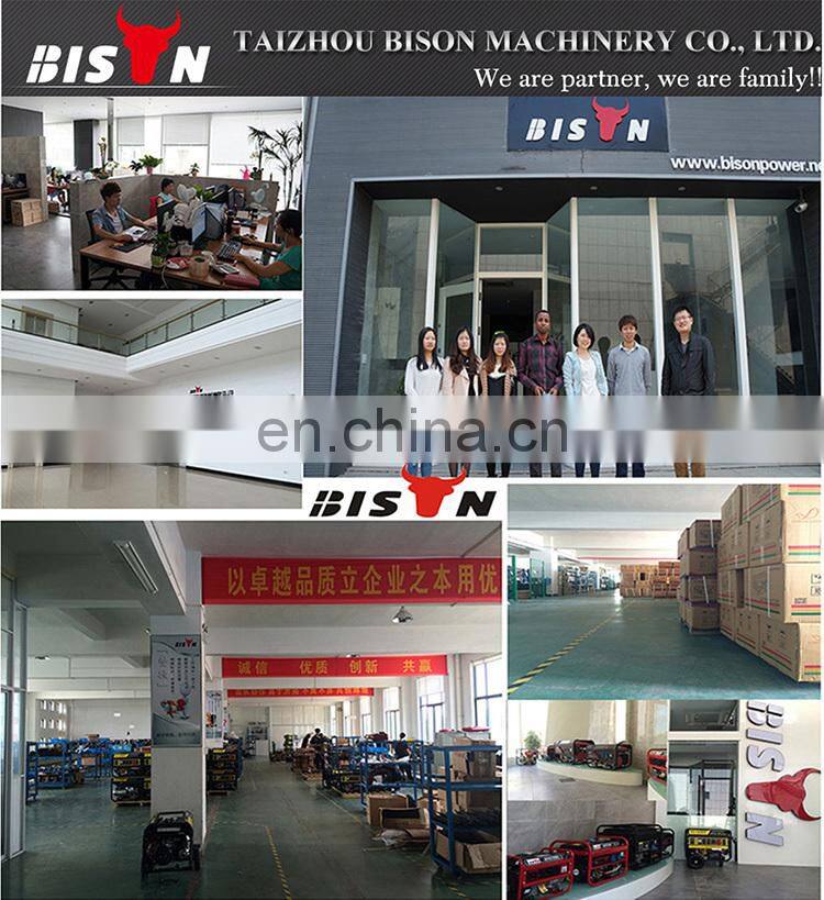BISON CHINA Taizhou 4kw Strong Frame Portable generador electrico gasolina