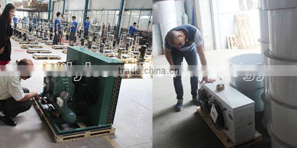 cold storage deep freezer for seafood, green house mobile freezer prices