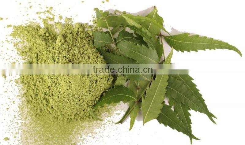 GMP Manufacturer offer Neem Leaf Powder At Your Brand