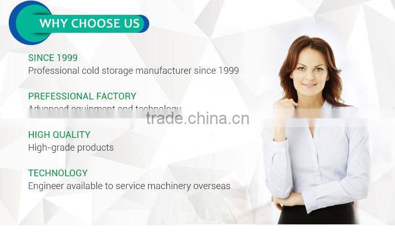 China manufacture fast Delivery pu sandwich panel cold rooms