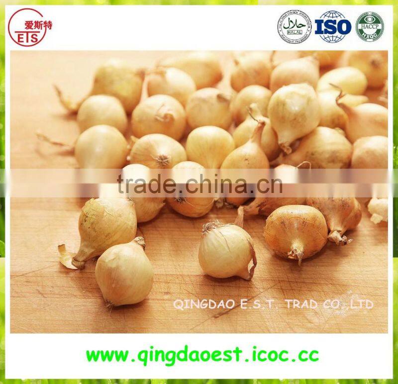 2016 BUlk MARKET PRICE Fresh Yellow Onion