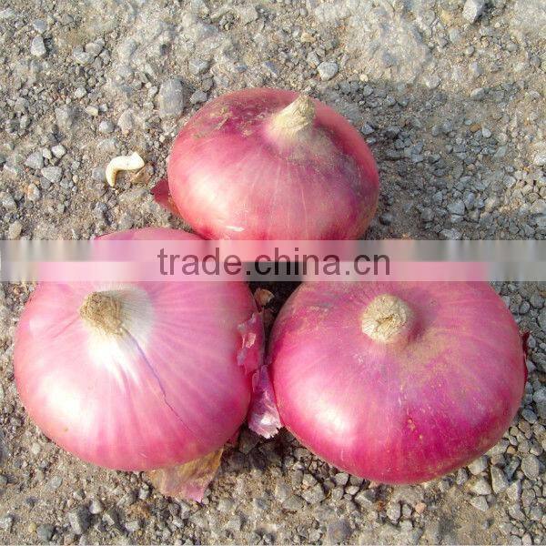 2014 new crop red onion with best price for sale5-7cm, 6-8cm, 8cm up