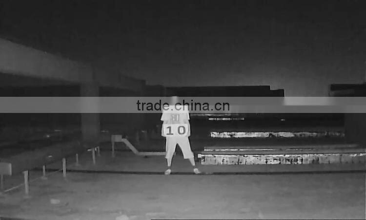 Hikvision 720TVL CCTV Cameras PICADIS waterproof camera,security camera