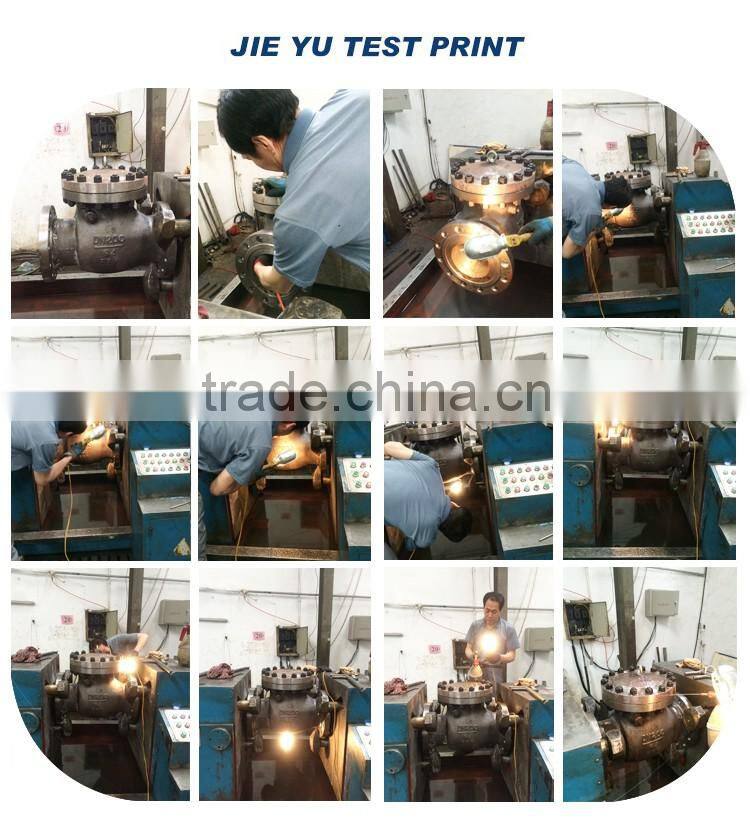 DIN PN64 swing check valve cast steel