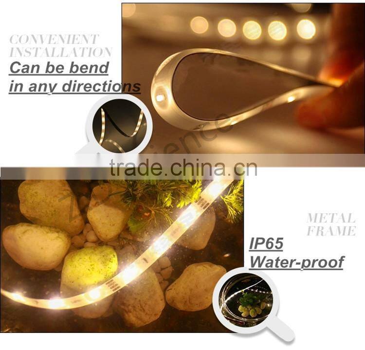 12V Light LED Strip Waterproof Non Waterproof LED Light Swimming Pool Rope Light