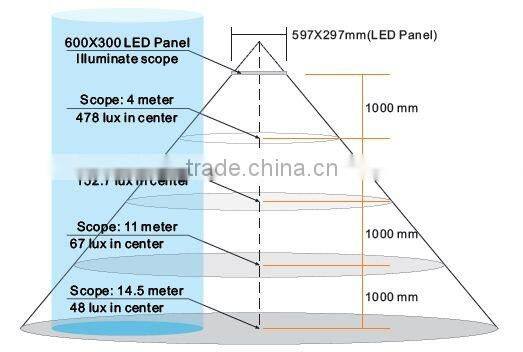 Acrylic LED Panel Ceilint Light / 600*300mm