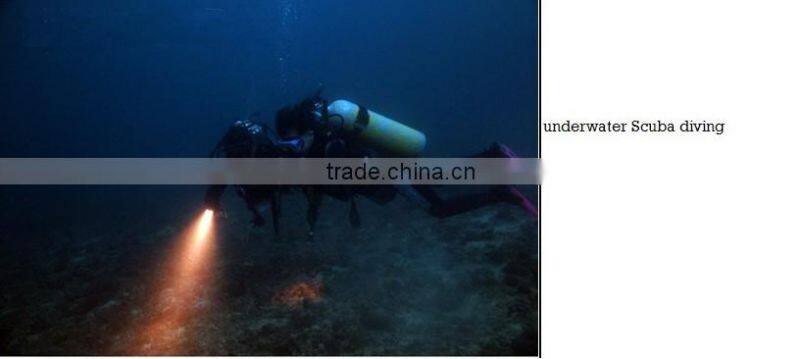 High performance CREE XM-L2 U2 Scuba underwater 1*18650 battery photography car diving video recorder