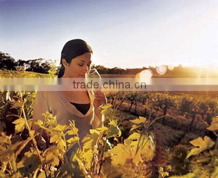 stainless steel wine cork,bottle stopper,bottle plug