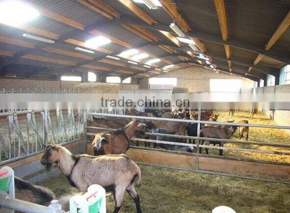 Light steel structure turn-key project chicken poultry farm