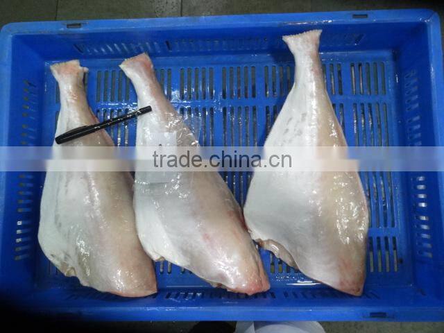 FROZEN LEATHER JACKET HGT