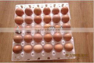 30 holes plastic egg tray for packing and transportation 30*30*5 cm plastic egg tray