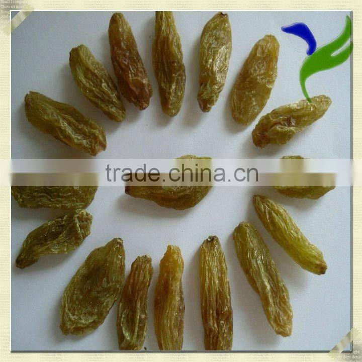 jumbo green raisin dried fruits