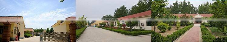 china manufacturer make to order cheap 30*68 plain woven 100% viscose fabric, printed viscose fabric for apparel