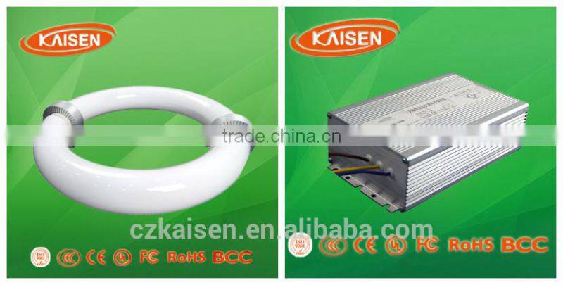 40W 80W energy-saving tube price induction lamp new style ceiling light