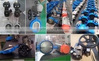 Wafer Cast Iron Check Valve