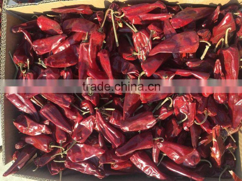yidu chilli