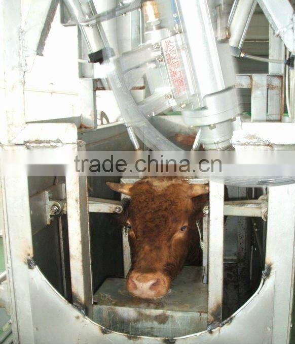 Halal Ritual slaughtering equipment equipping to cattle slaughter house