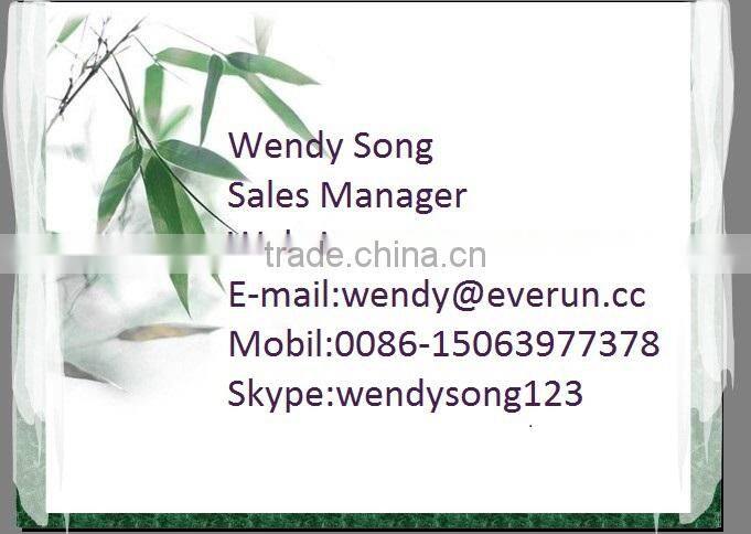 Everun Telescopic Loader with Auger