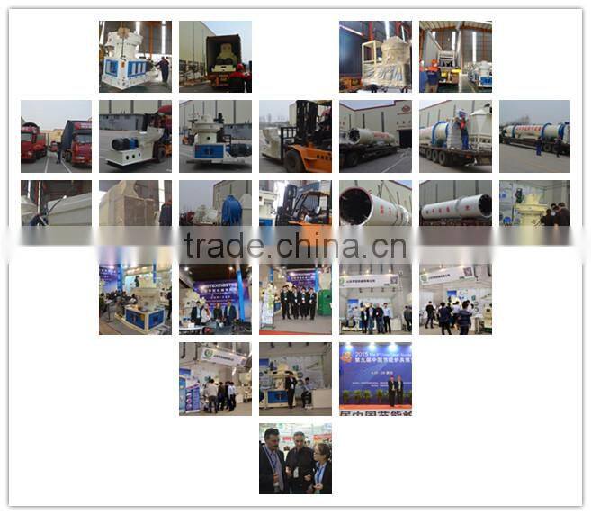 Alibaba express wood sawdust machine in Malaysia