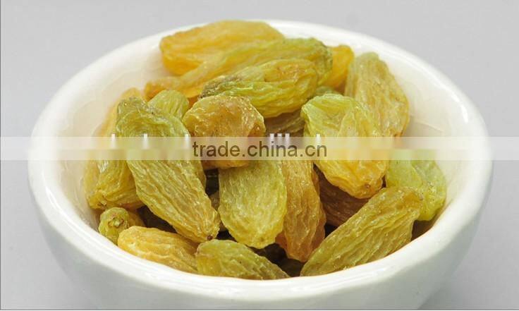 Grape Multiple layer continuous type mesh belt dryer