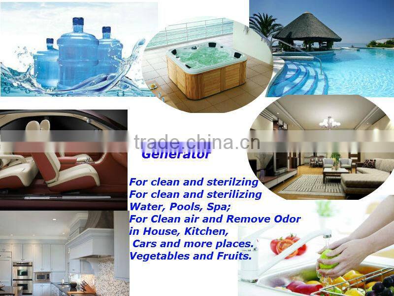 BWT Water Products 5 g/h Pool Ozone Generator for Swimming Pool