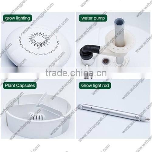 Mini hydroponic smart garden