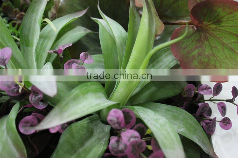 for home garden tiles deco 120*60cm paint color indoor artificial succlent boutique plant wall laminate combinations Ejq10 1204