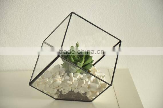 Indoor Gardening Geometric Glass Terrarium Container Succulent Planter