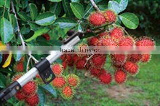 Multi-function fruit picking device