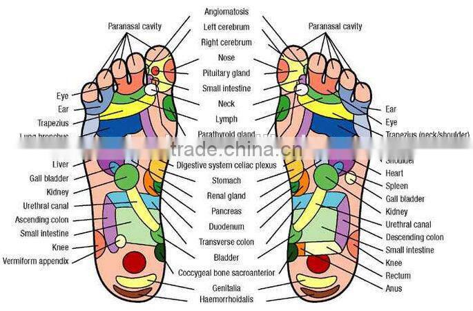 2013 newest bee type abs Electric foot massager/body massager