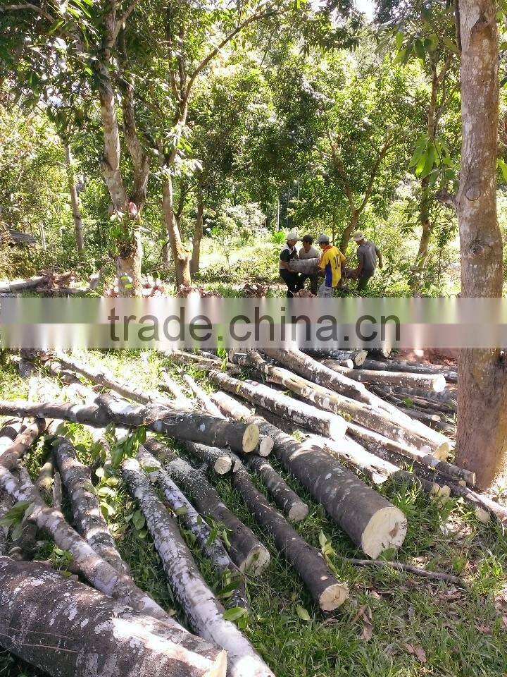 Agarwood Powder/ Oud Powder - Raw Material to Make Solid Incense Stick