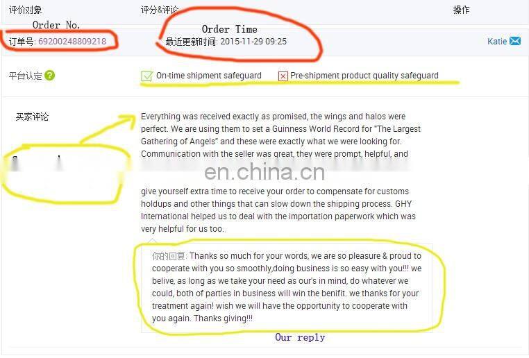 Bee Wings Costume for Party Dressup