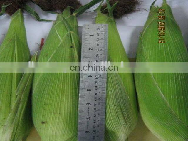 Fresh Corn Peeling Machine or Series Special Design Stainless Steel Engineers Available to Service Machinery Overseas Wooden Box