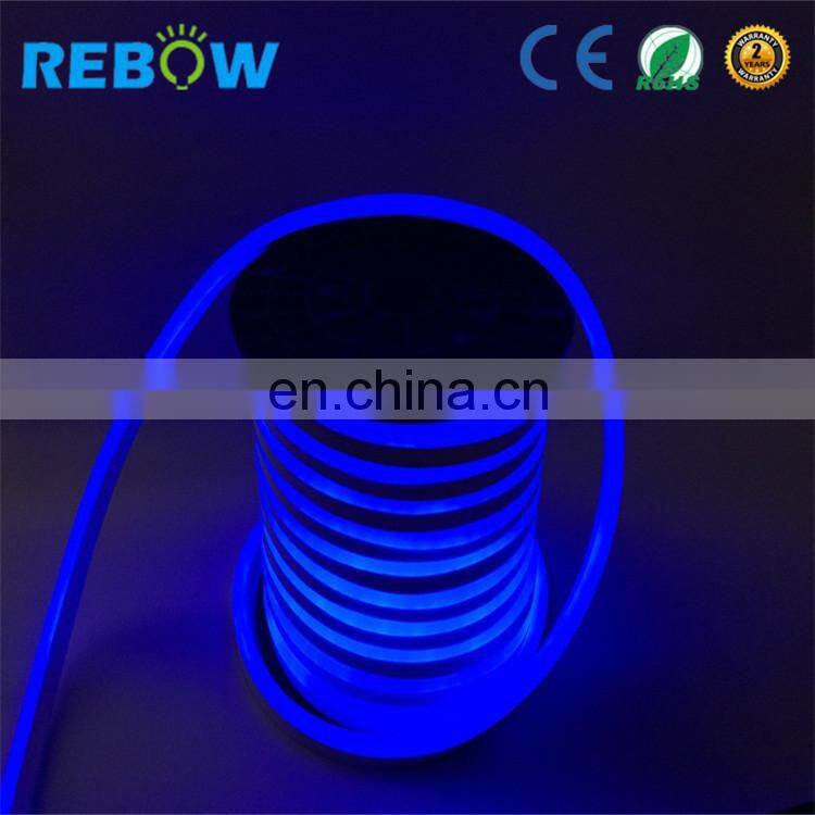 High Quality neon led waterproof 12V 24V 220v neon flex rgb led tube/strip/rope
