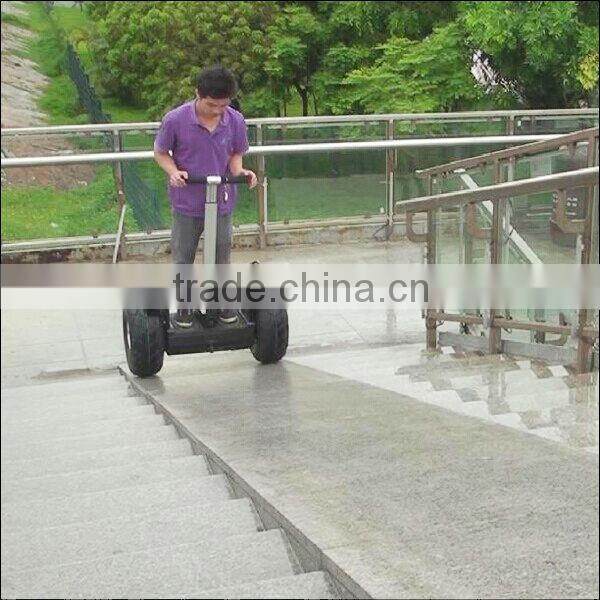 Double wheels outdoor scooter and adult electric personal transportation vehical