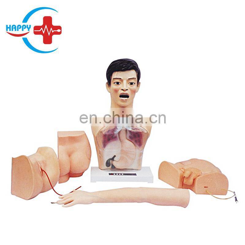 HC-S113 New basic nursing person internship operation model, Nurse training manikin/basic practice teaching model