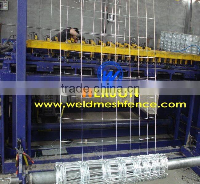 Hinge Joint Fencing Wire,Ranch fence 115/8/30