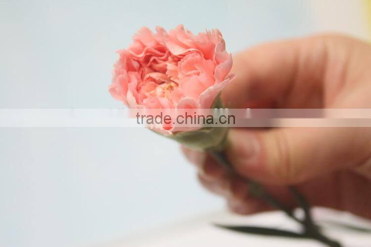 Elegant in smell new coming carnation flower small carnation flowers