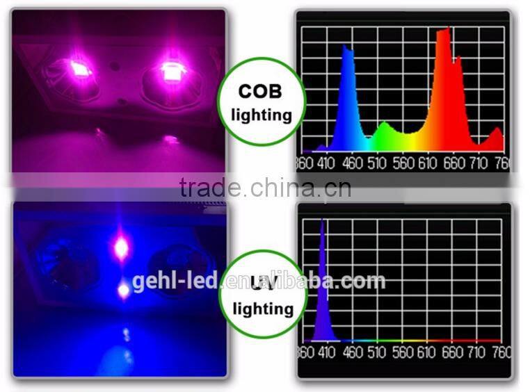 Alibaba express UV Zeus led grow light 300W for tiny houses