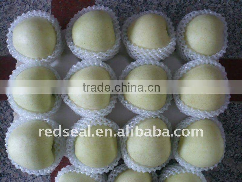Fresh golden delicious apple
