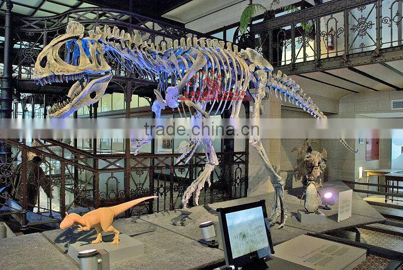Dinosaur Skeleton Replica Of Cryolophosaurus