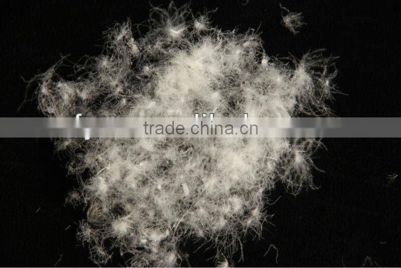 duck and goose feather