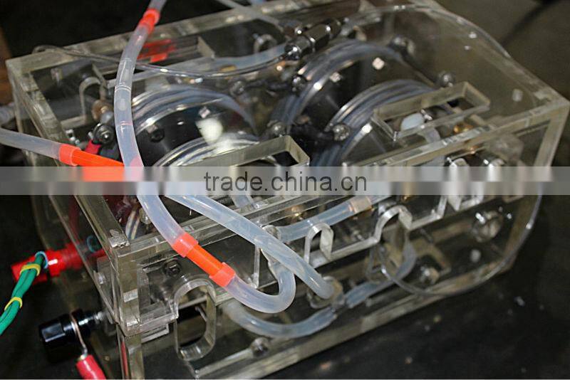 China PEM Hydrogen Gas Generators for Cars