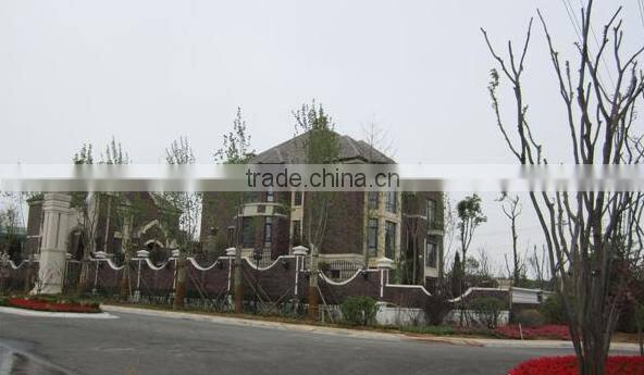 luxuey prefab villa house